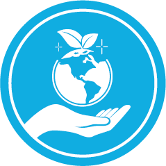 simge (2)
