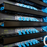 Professional Techincal Team